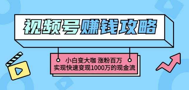 玩转微信视频号赚钱:小白变大咖涨粉百万实现快速变现1000万的现金流