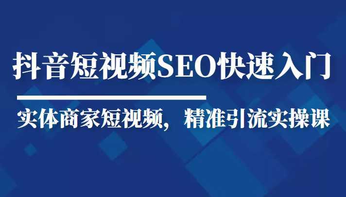 抖音短视频Seo搜索排名优化新手快速入门教程,实体商家短视频,精准引流实操课