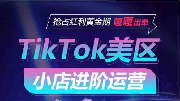 TikTok Shop美区小店进阶运营,快速掌握各流量渠道玩法,抢占红利黄金期,嘎嘎出单