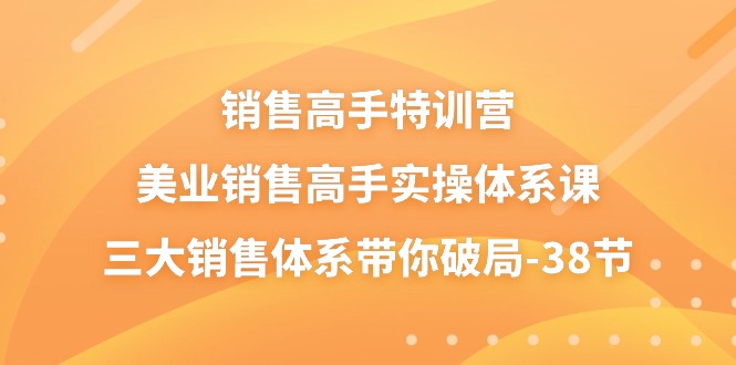 销售-高手特训营,美业-销售高手实操体系课,三大销售体系带你破局-38节