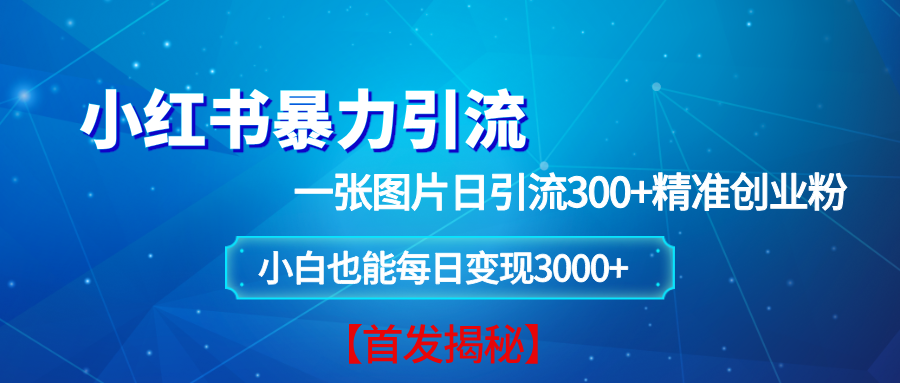 小红书暴力引流法,一张图片日引 300+精准创业粉,每日稳定变现 3000+【揭秘】